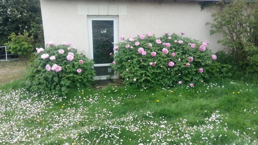 Chambre D'Hote Monthodon Екстериор снимка